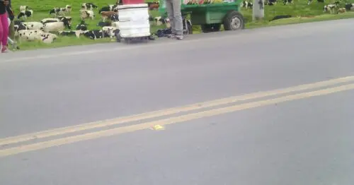 PUNTO AMBULANTE DE HIDRATACION SALPICON  PATILLA PUNTO AMBULANTE DE HIDRATACION SALPICON  PATILLA